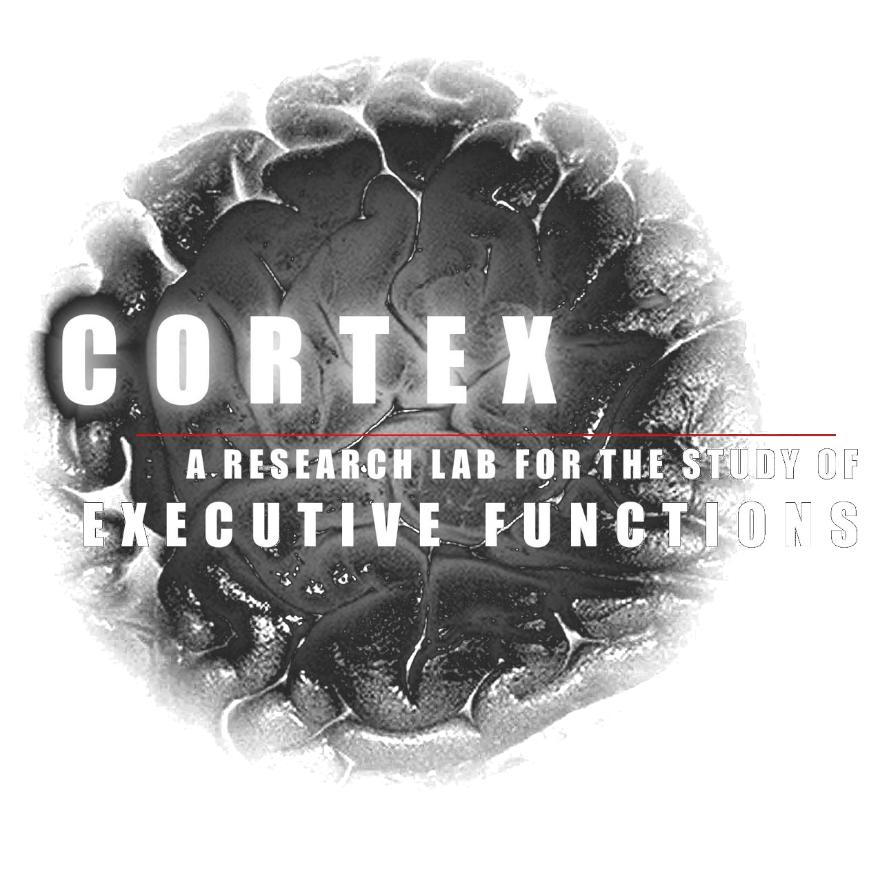 CORTEX Lab